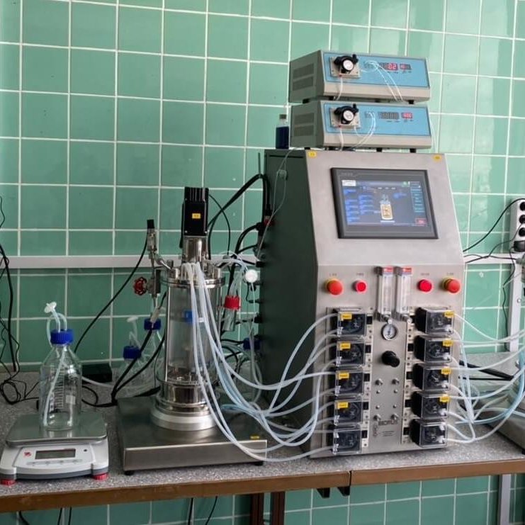 The Research Institute of Genetics