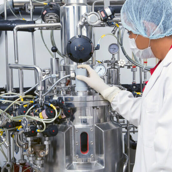 processus de fermentation microbienne processus de fermentation microbienne