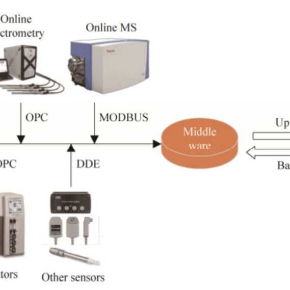 processus de fermentation microbienne2 processus de fermentation microbienne