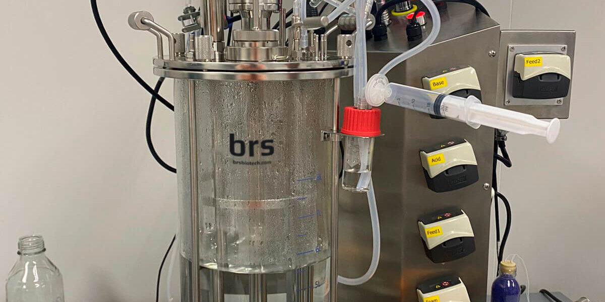 glass-bioreactor-10l Laboratory bioreactor 10L with an optical density sensor