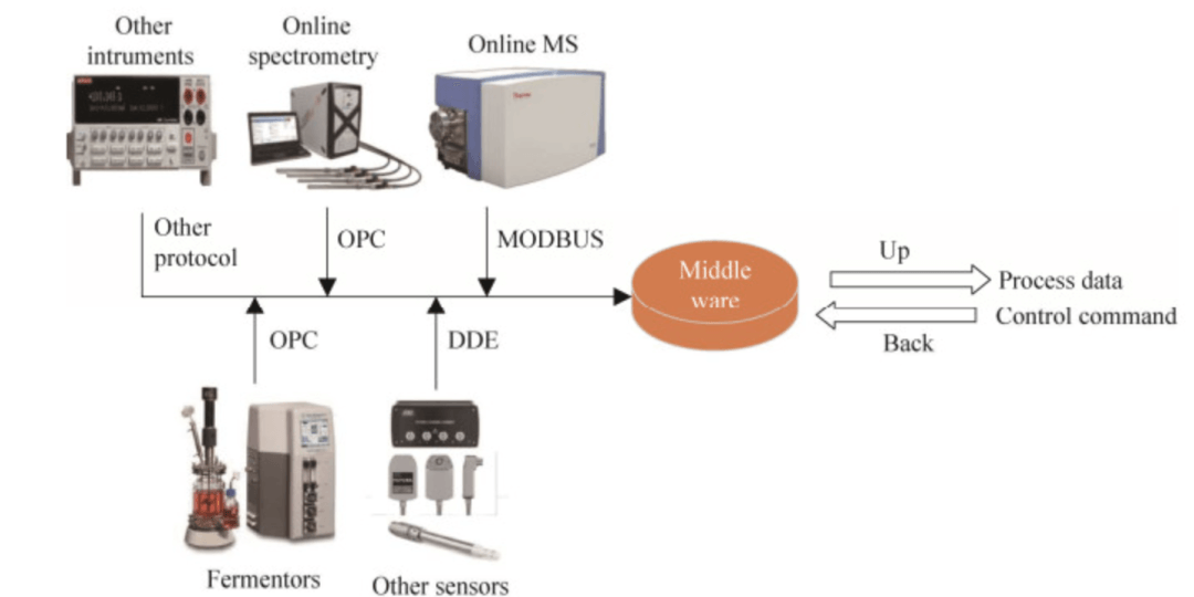 processus de fermentation microbienne2 processus de fermentation microbienne