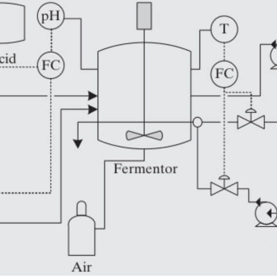 1 processus de fermentation