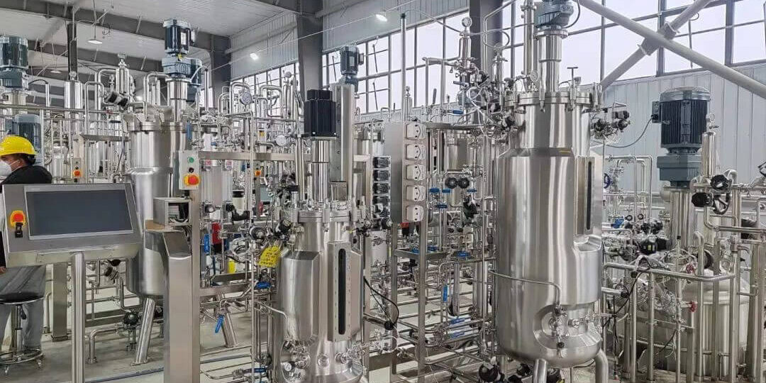 Fermentation d’Escherichia coli3 Fermentation d'Escherichia coli4