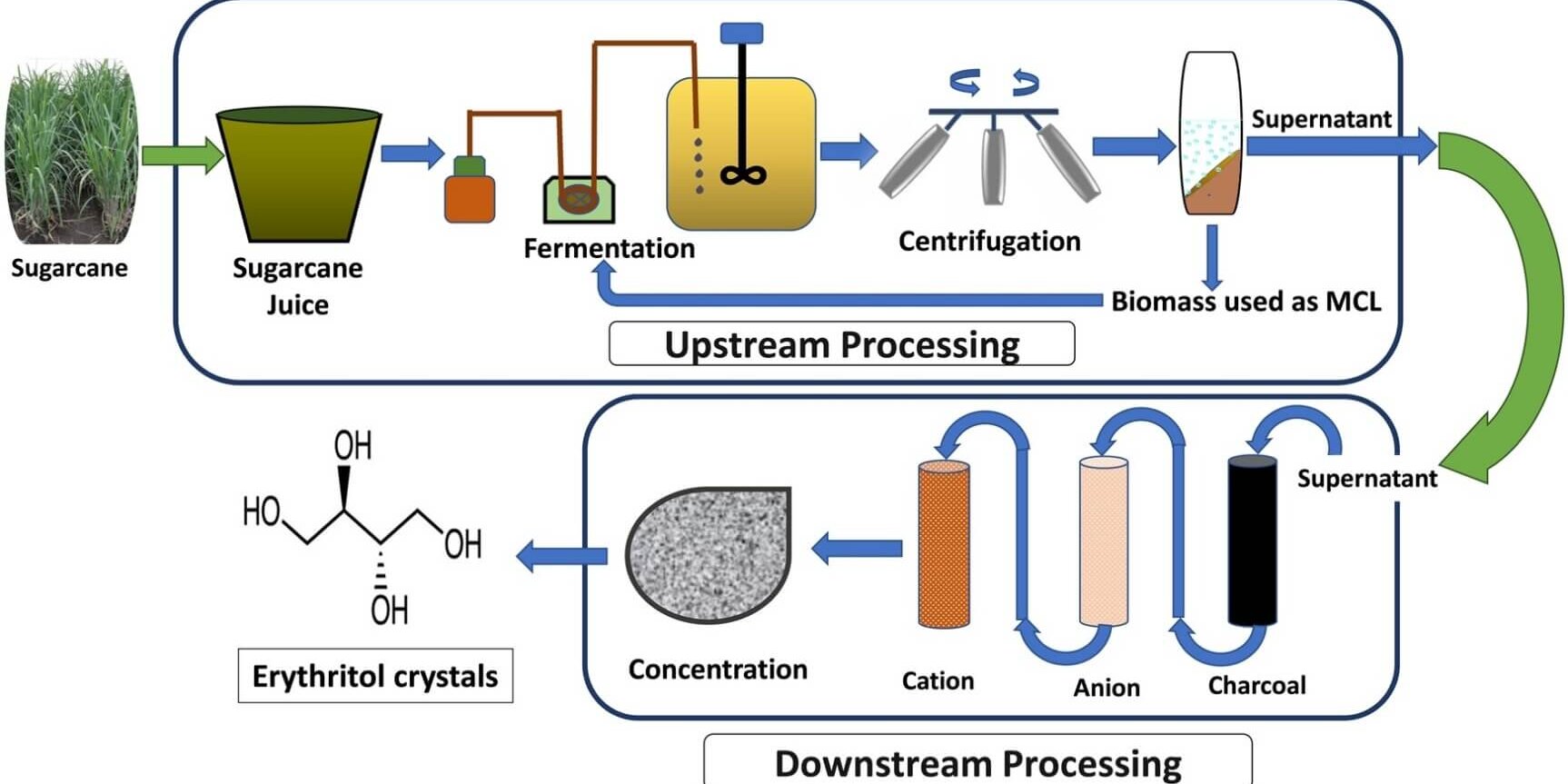Production d’érythritol Production d'érythritol