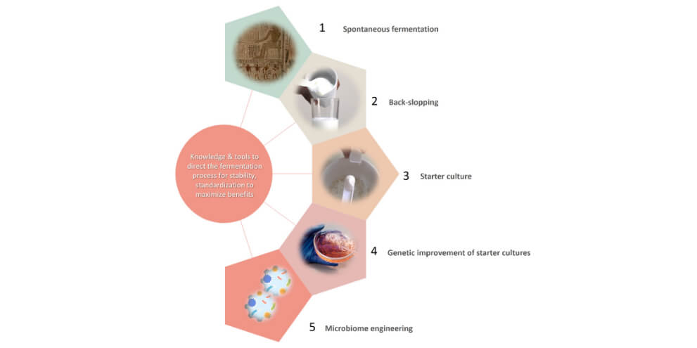 agents de fermentation alimentaire agents de fermentation alimentaire2