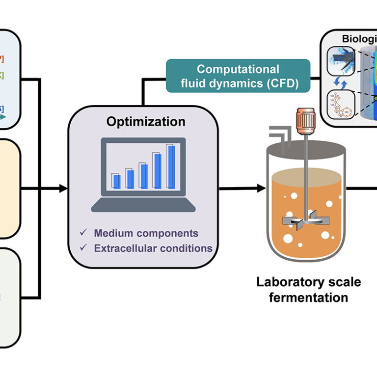 fermentation-métabolisme fermentation-métabolisme