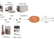 processus de fermentation microbienne