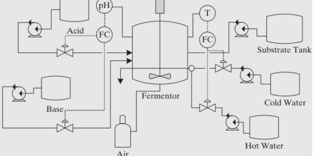 1 fermentation process