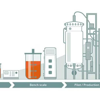mise à l’échelle