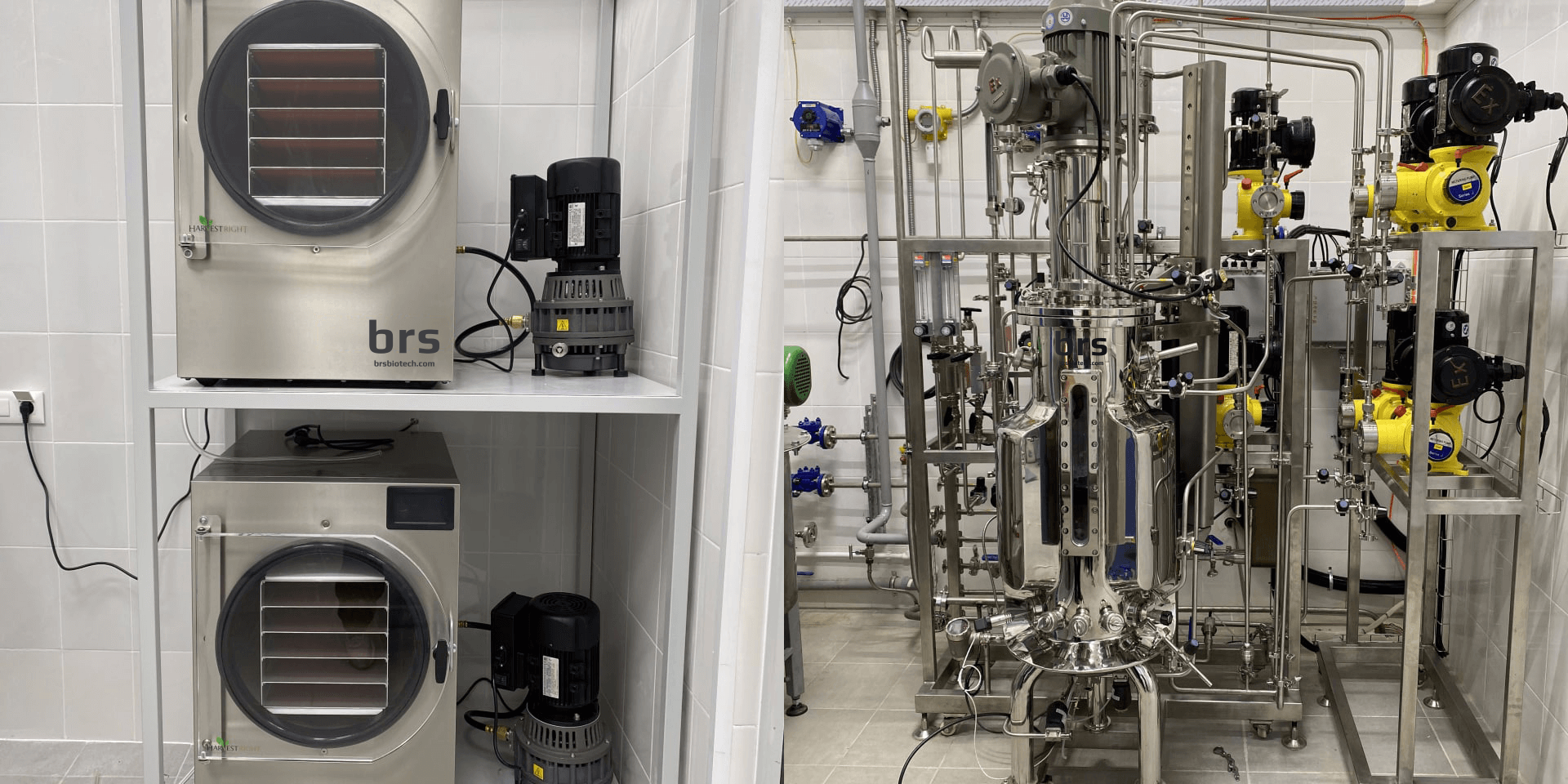 1-2 Explosion proof 50 liters bioreactor with freeze dryers