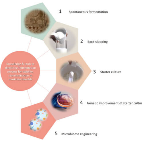 agents de fermentation alimentaire agents de fermentation alimentaire2