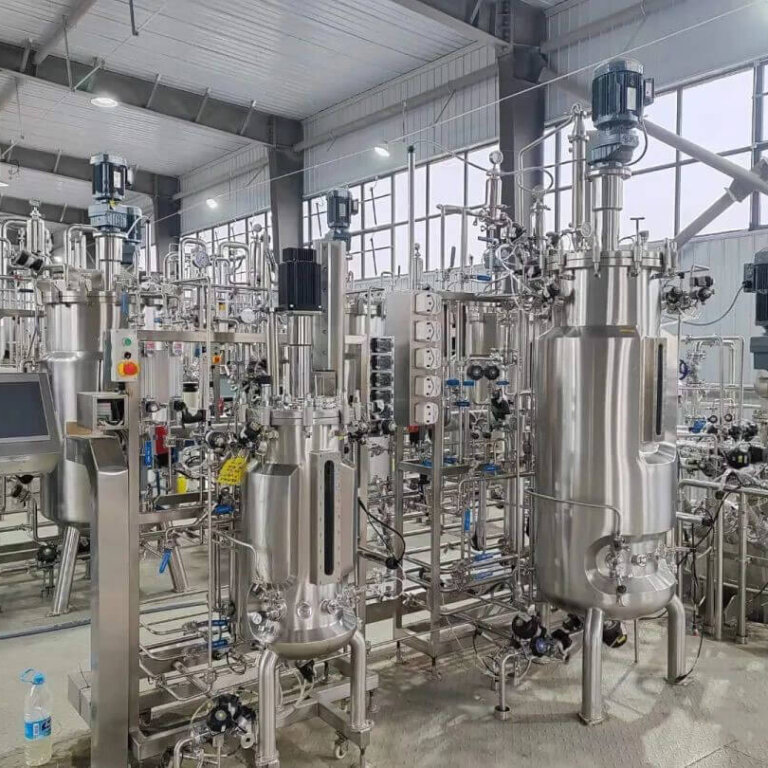 Fermentation d’Escherichia coli3 Fermentation d'Escherichia coli4