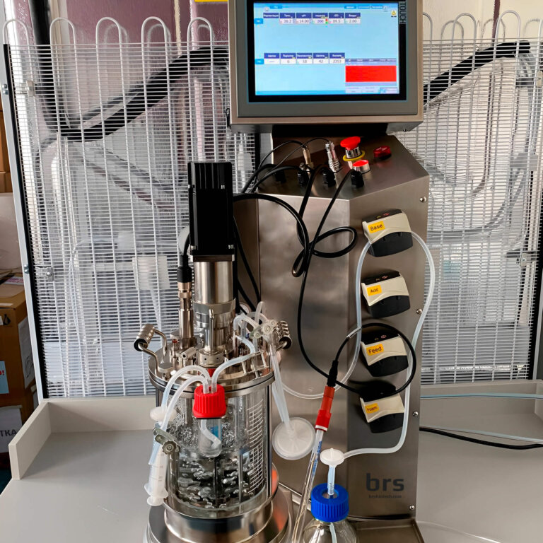 bioréacteur en verre 3l Bioréacteur de laboratoire en verre 3L