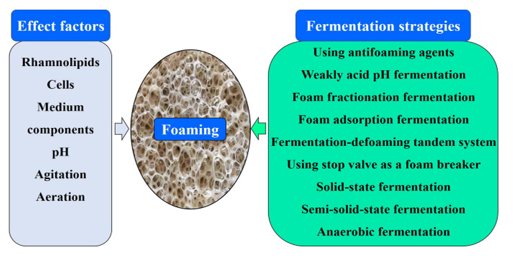 fermentation-foam-control-main fermentation-foam-control